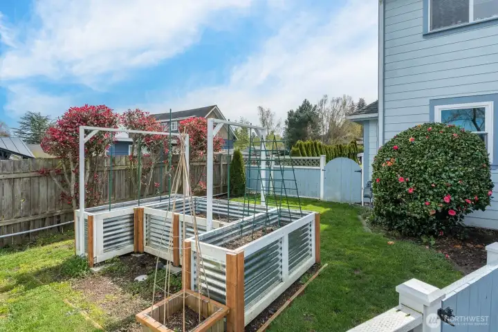 Raised garden beds!