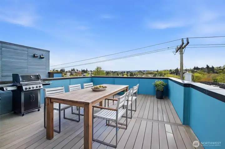 Sweeping neighborhood and city views from rooftop terrace overlooking parks, trees, and the Bellevue and Seattle skyline.