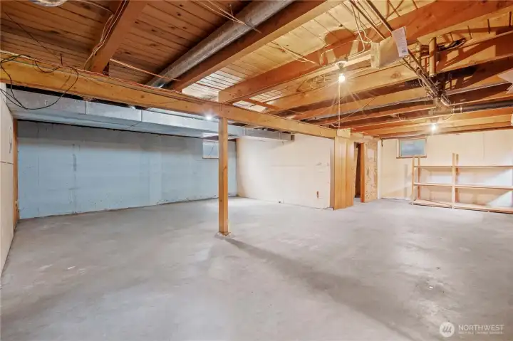Unfinished basement