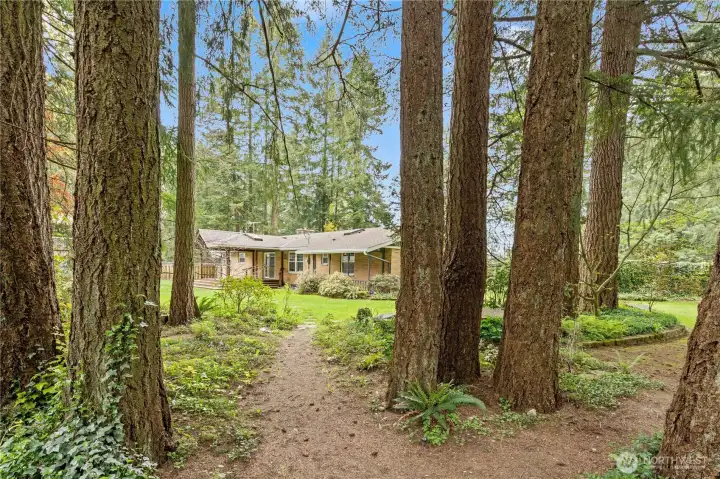 Woodland trails await