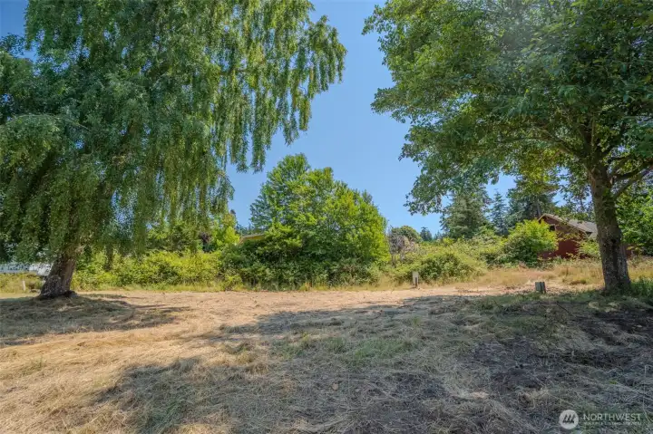 Mature trees provide natural shade and a beautiful framework for thoughtful architectural design. Mature trees provide natural shade and a beautiful framework for thoughtful architectural design.