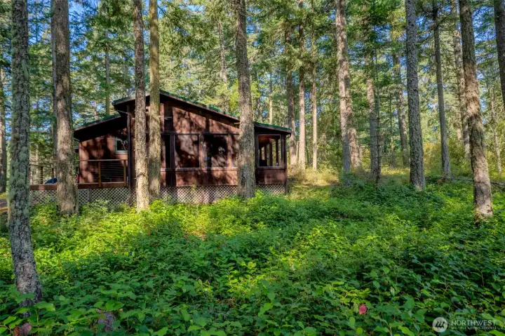 A cabin in the woods.