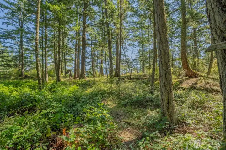 Gentle wooded areas.