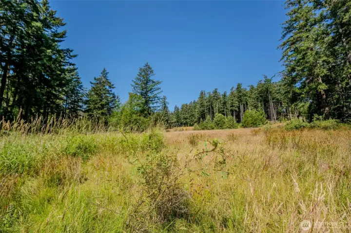 beautiful, sunny open Space make this such a unique property!