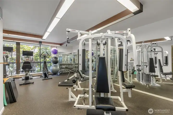 Gym- Amenity on level PL Gym- Amenity on level PL