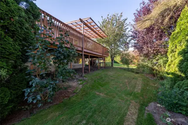 Private back yard with mature fruit trees