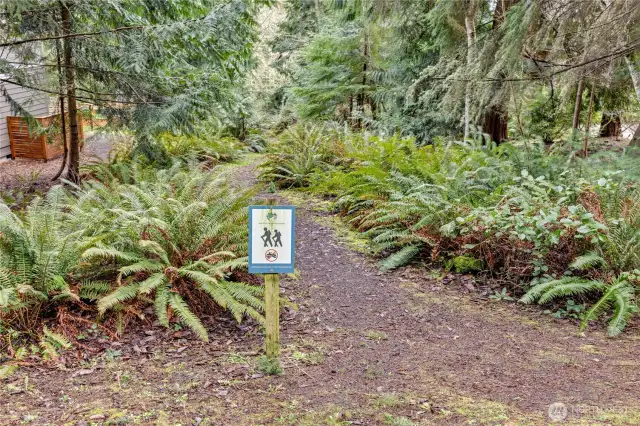 Trailhead on Belvedere Drive.