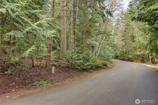 Belvedere Drive, property is close to the Kala Point trail systems and Old Fort Townsend.