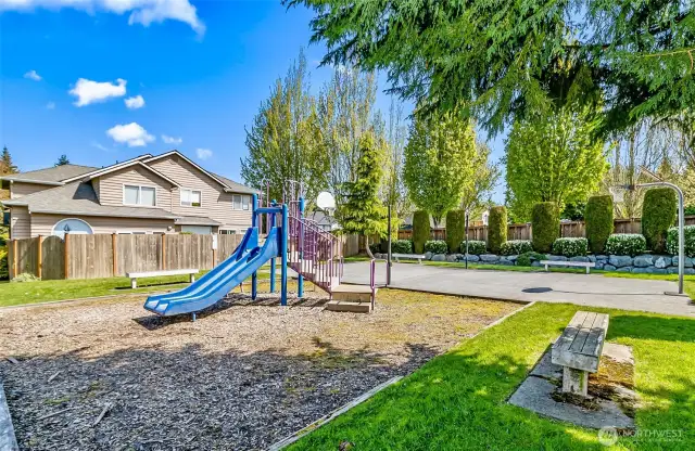 Community playground with Basketball court