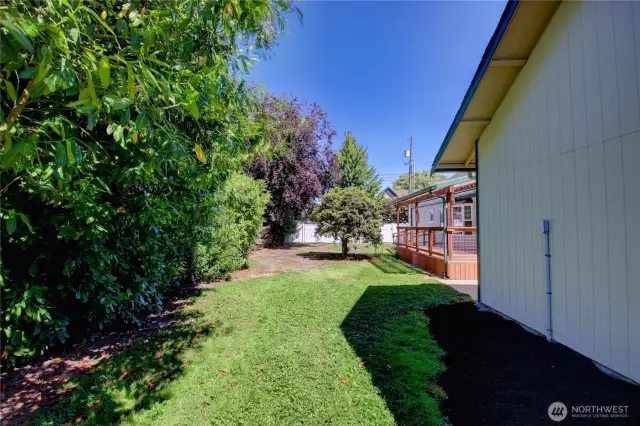 Back yard is partially fenced in.