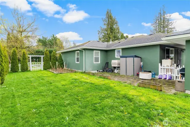 Backyard