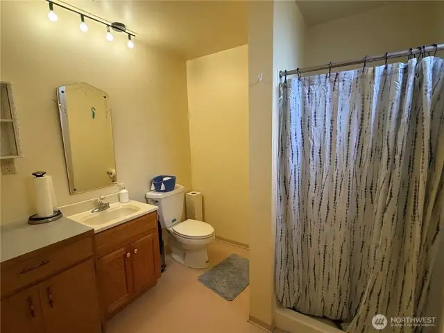 basement bathroom