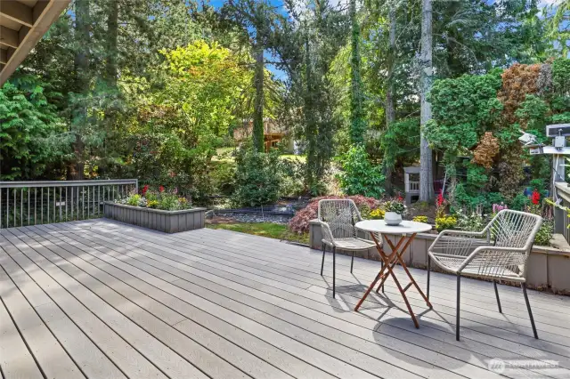 Back deck