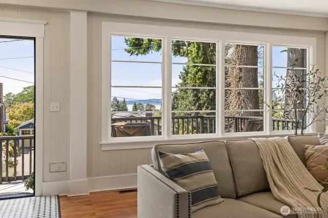 Living Room Windows