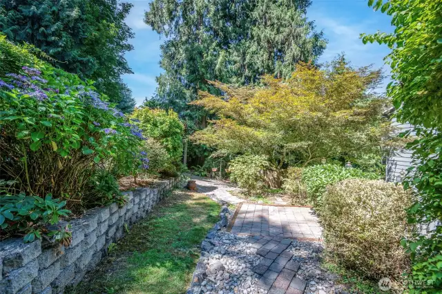 Beautiful Park Like Oasis Backyard!