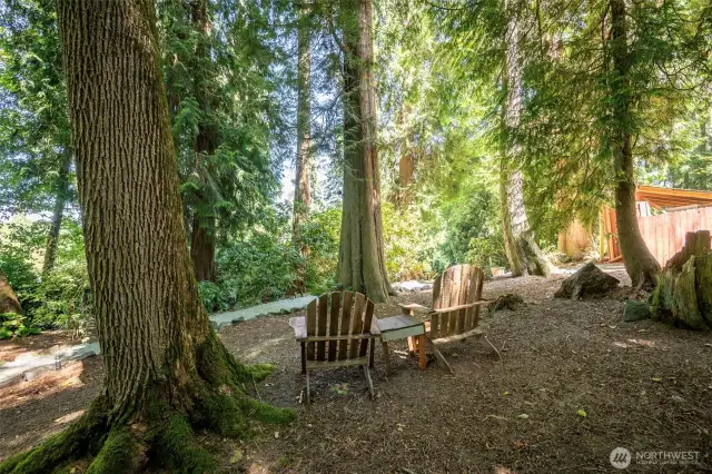 Sit and Relax and Enjoy The Scenery!