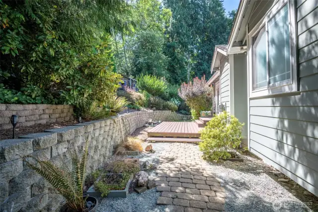 Back Patio