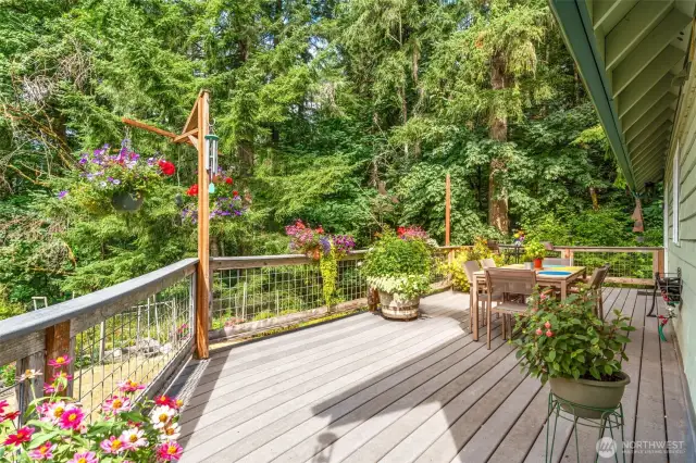 Back Deck