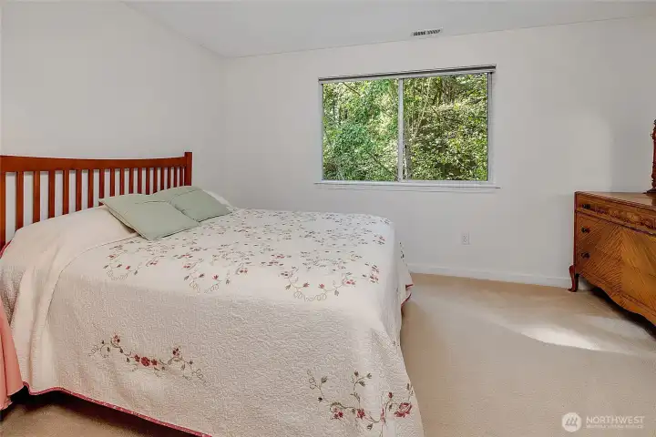 Upper level 2nd bedroom. Plenty of room for a queen bed. Green space views.