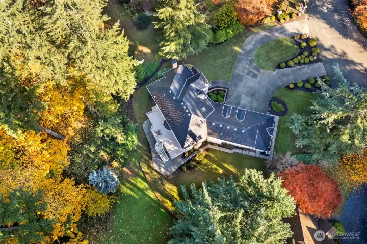 True Hollywood Hills estate located in quiet and charming Belmonte neighborhood.