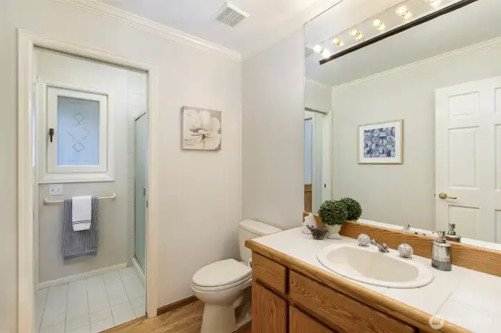 2nd photo of the bathroom on the main floor.    The entire interior of this home is freshly painted.