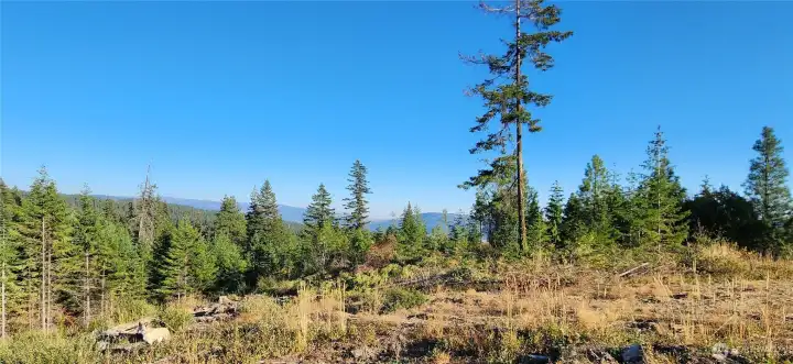 Photos, plans and elevations may be examples representing the community, community amenities, homes or artist’s renderings that may not accurately represent the actual condition of a homesite or home as constructed, and may also contain options and upgrades which are not included in the sale. Trailside Homes reserves the right to make changes to floor plans, specifications, dimensions, design and elevations without prior notice. Stated dimensions and square footage, if applicable, are estimated and should not be used as representations of the home’s actual size.