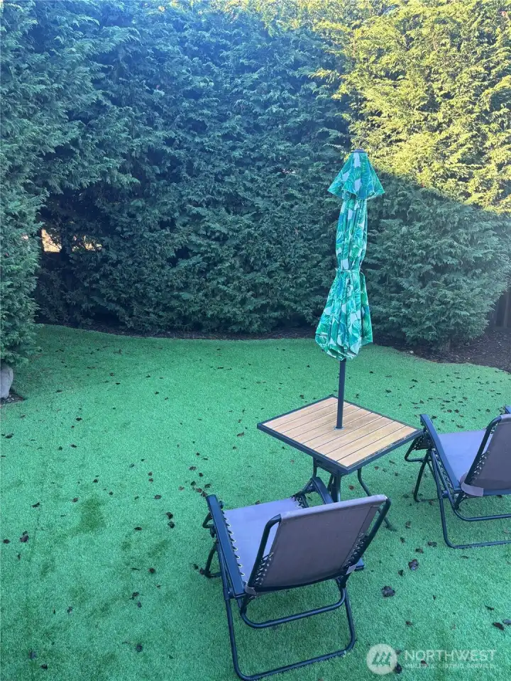 Back yard for relaxing