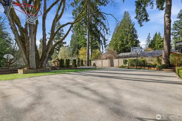 Backyard w/ athletic court