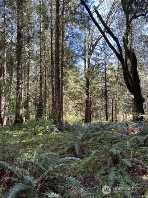 Mostly level parcel. Building envelope is identified.