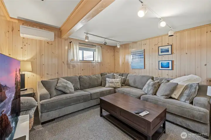 Lower level family room