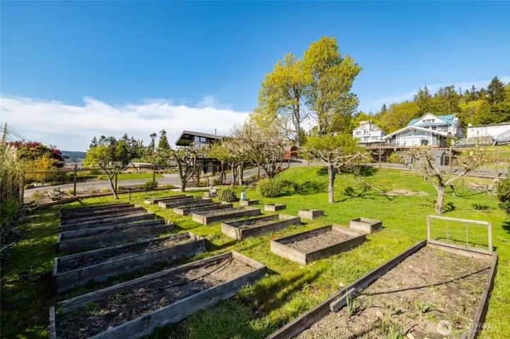 Garden/Orchard with raised beds and fruit trees