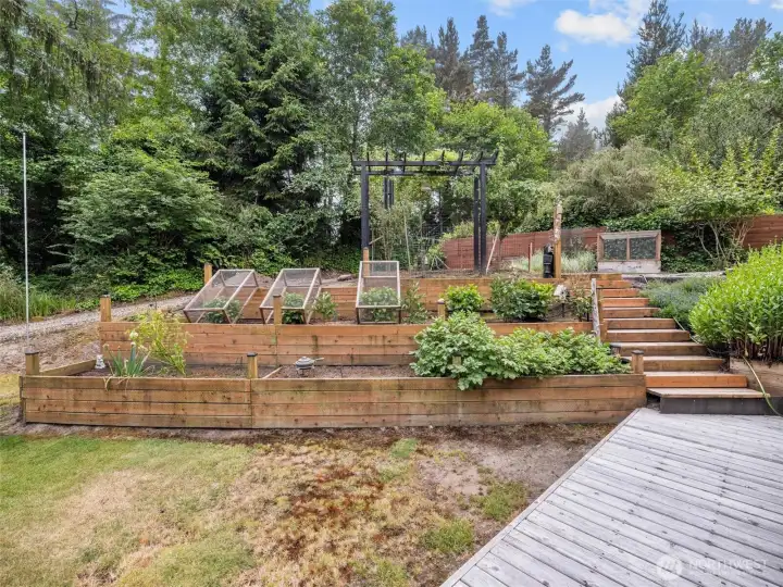 Raised Gardens