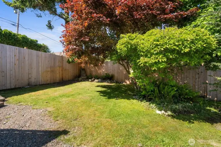 Front yard with beautiful trees and fenced yard.