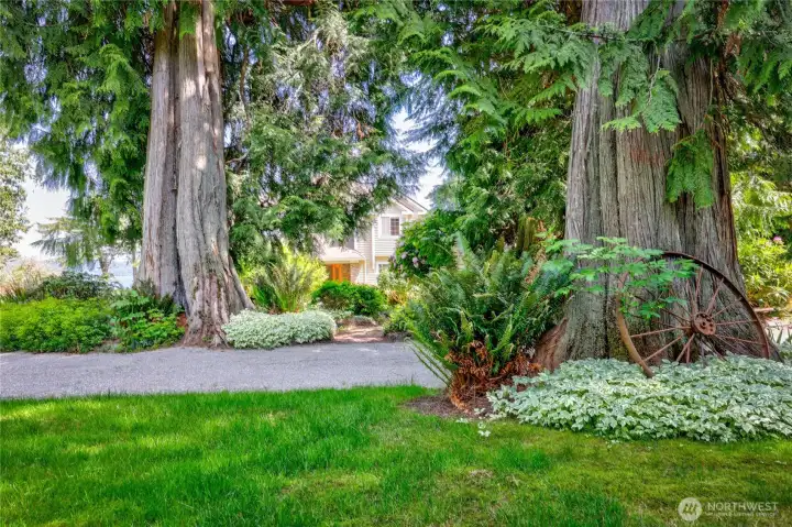 Landscaping