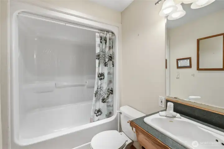 Lower level guest bath