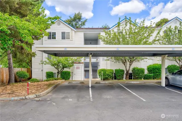 Reserved and covered parking just outside your condo.  The unit is at the back of the complex with almost no traffic and ample guest parking.  It is very quiet here....considering that Benson Hill Shopping Center is across the street!