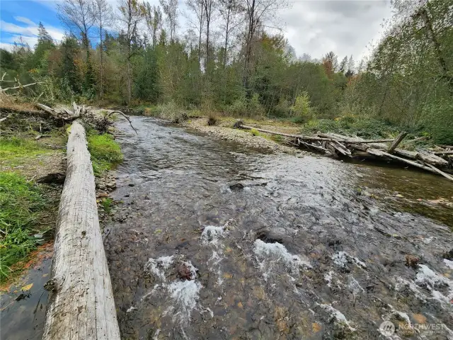 View looking east up the river