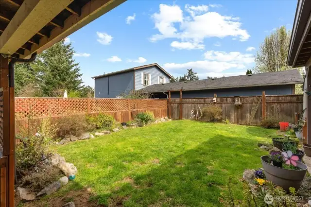 Main Home Side Yard