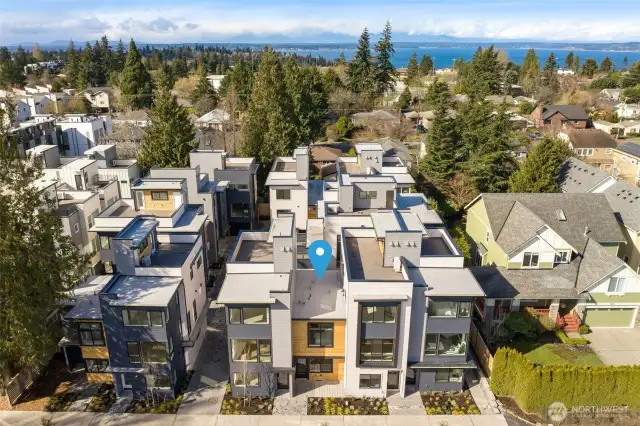 Street view of a thoughtfully designed community featuring bold exteriors and contemporary elegance.
