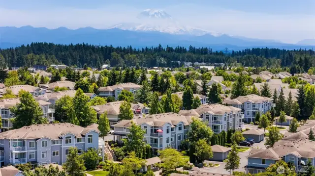 In the shadow of Mt Rainier - Carrara at Lakeland Hills