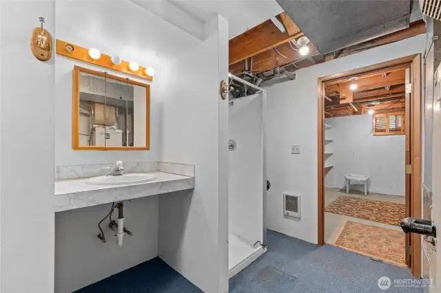 Shower with sink in basement off wet-bar