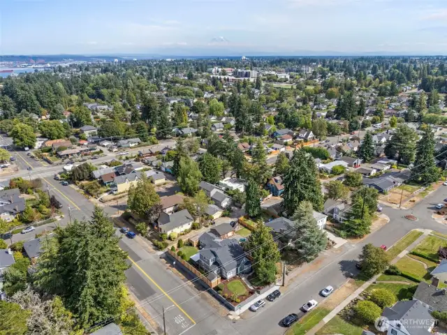 Aerial view of neighborhood with Mt Rainier in backdrop.