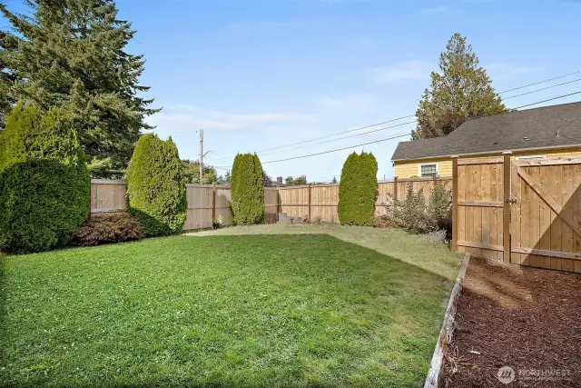 Backyard space - fully fenced