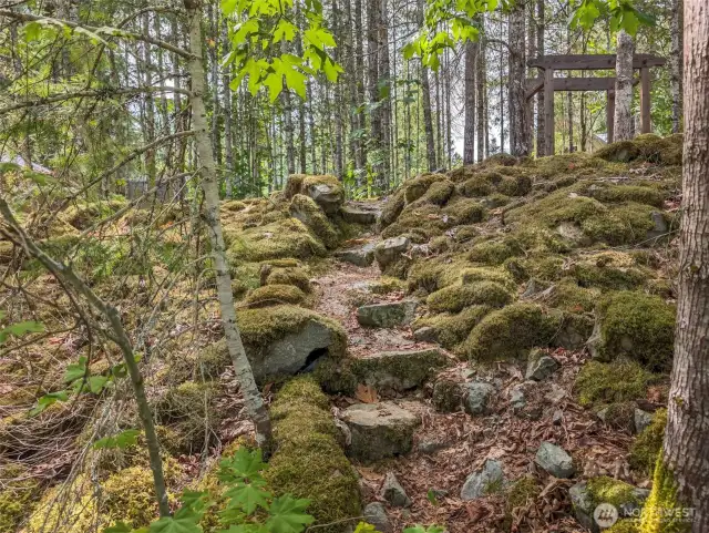Steps to the Creek!