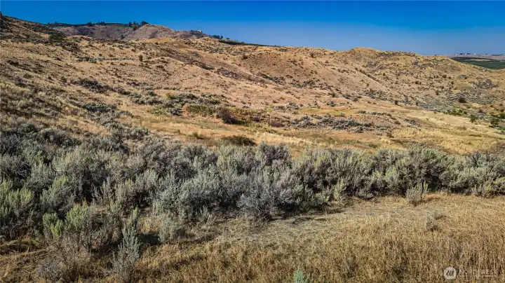 Potential home site