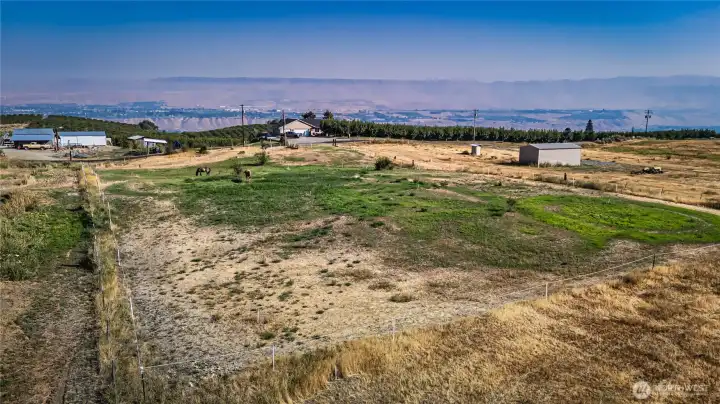Backside of pasture looking towards county road