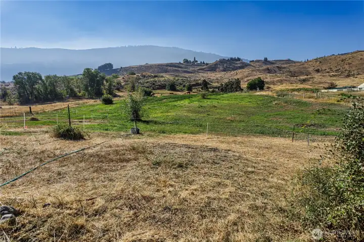 Pasture near the road