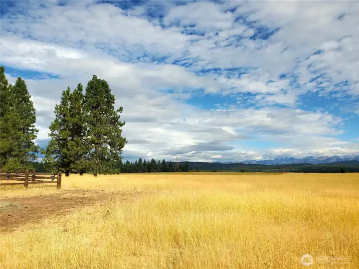 The open fields of Summer at Wallace Ranch