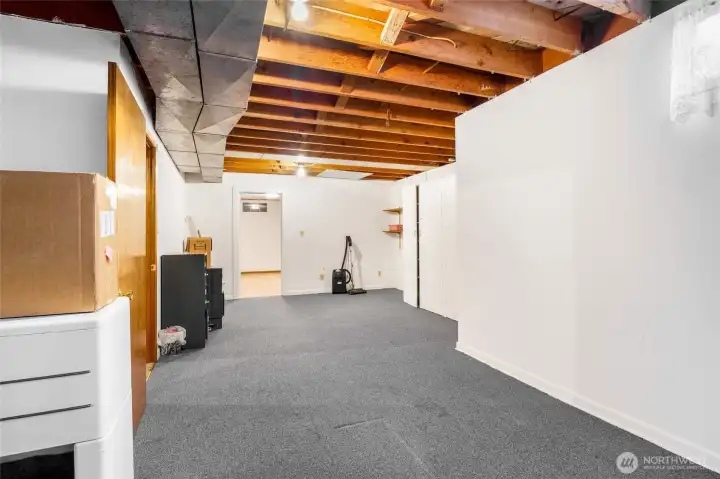 Basement Storage Area