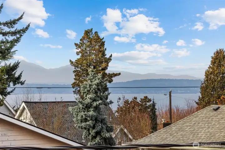 West facing deck view